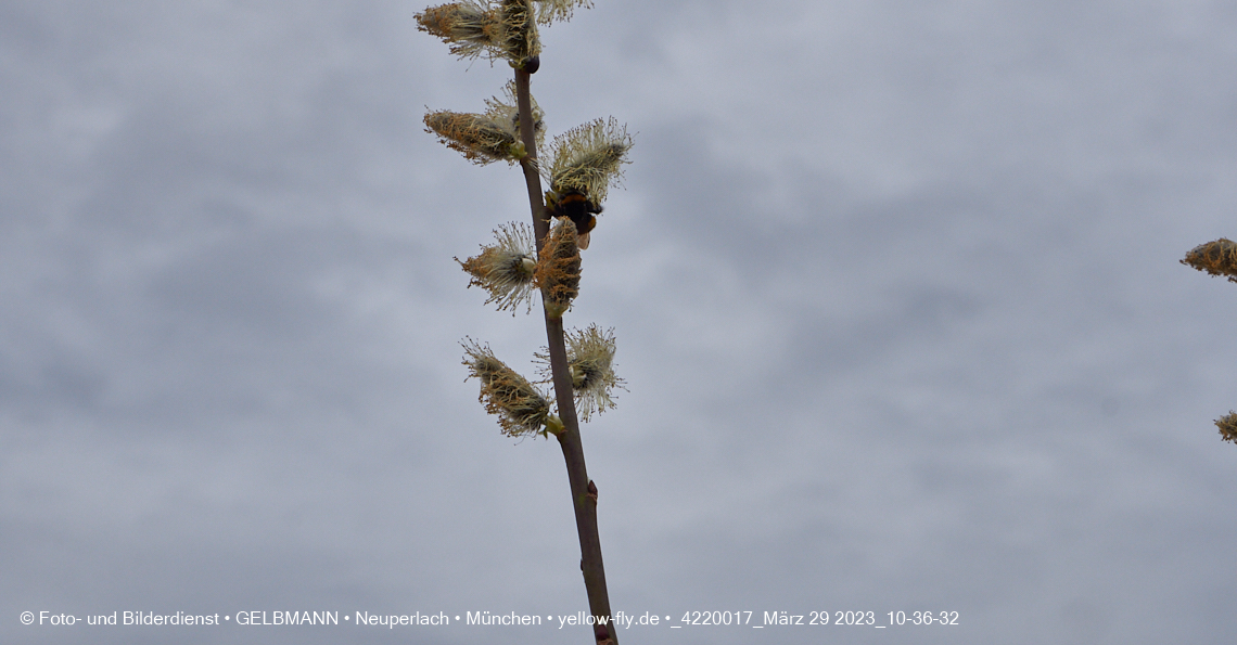 29.03.2023 - Baustelle REVO und Umgebung in Neuperlach